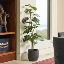 Load image into Gallery viewer, 5' Artificial Monstera Tree CG Hunter