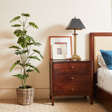 Load image into Gallery viewer, 5' Artificial Monstera Tree CG Hunter