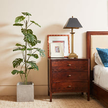 Load image into Gallery viewer, 5' Artificial Monstera Tree CG Hunter