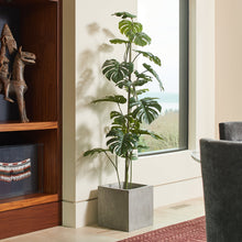 Load image into Gallery viewer, 5' Artificial Monstera Tree CG Hunter