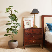 Load image into Gallery viewer, 5' Artificial Monstera Tree CG Hunter