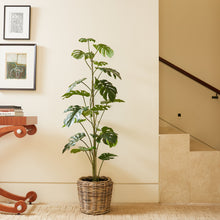 Load image into Gallery viewer, 5' Artificial Monstera Tree CG Hunter