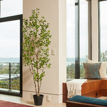 Load image into Gallery viewer, 7' Artificial Heart Ficus Tree CG Hunter