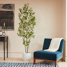 Load image into Gallery viewer, 7' Artificial Heart Ficus Tree CG Hunter