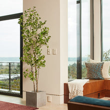 Load image into Gallery viewer, 7' Artificial Heart Ficus Tree CG Hunter