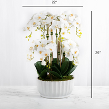 Load image into Gallery viewer, large orchid centerpiece arrangement white faux orchids in white vase