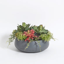 Load image into Gallery viewer, Artificial Succulent Arrangement in Gray Planter