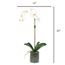 Load image into Gallery viewer, 20 inch artificial orchid centerpiece for home decor or wedding_Vivian Rose Shop