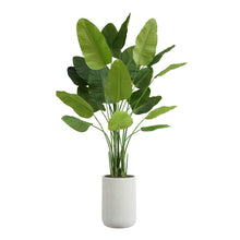 Load image into Gallery viewer, 8' Bird of Paradise Tree in Modern Gray Planter