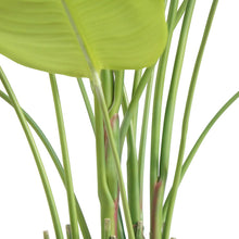 Load image into Gallery viewer, 8' Bird of Paradise Tree in Modern Gray Planter
