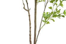 Load image into Gallery viewer, 7' Artificial Heart Ficus Tree CG Hunter