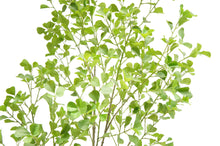 Load image into Gallery viewer, 7' Artificial Heart Ficus Tree CG Hunter