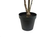 Load image into Gallery viewer, 7' Artificial Heart Ficus Tree CG Hunter