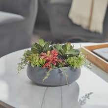 Load image into Gallery viewer, Fake Succulent Arrangement