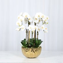 Load image into Gallery viewer, Faux Orchid Centerpiece Arrangement - 24" Vivian Rose Shop