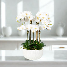 Load image into Gallery viewer, Faux Orchid Centerpiece Arrangement - 24" Vivian Rose Shop