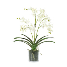 Load image into Gallery viewer, Faux Vanda Orchid Floral Arrangement in Vase – Vivian Rose Shop