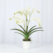 Load image into Gallery viewer, Faux Vanda Orchid Arrangement in White Planter 24 inches – Vivian Rose Shop