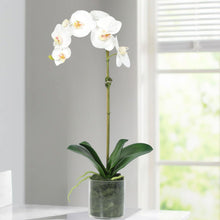 Load image into Gallery viewer, Artificial orchid plant in vase styled on kitchen counter- 20" Vivian Rose Shop