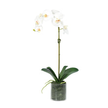 Load image into Gallery viewer, Faux silk orchid flowers realistic artificial plant - Vivian-Rose-Shop