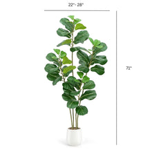 Load image into Gallery viewer, Faux Fiddle Leaf Fig Tree In White Planter 6' Vivian Rose Shop