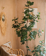 Load image into Gallery viewer, Artificial Silk Fig Tree In Pot RusticReach
