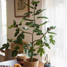 Load image into Gallery viewer, Artificial Silk Fig Tree In Pot RusticReach