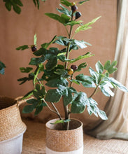 Load image into Gallery viewer, Artificial Silk Fig Tree In Pot RusticReach