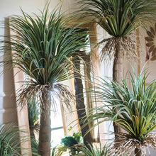 Load image into Gallery viewer, Moroccan Artificial Palm Tree In Pot RusticReach