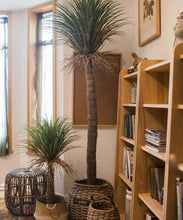 Load image into Gallery viewer, Moroccan Artificial Palm Tree In Pot RusticReach