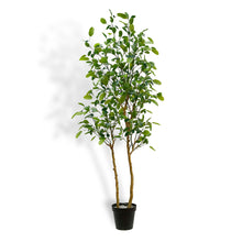 Load image into Gallery viewer, 7' Citrus Lemon Tree CG Hunter
