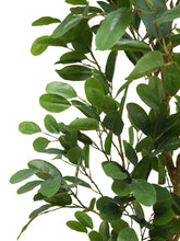 Load image into Gallery viewer, 7' Citrus Lemon Tree CG Hunter