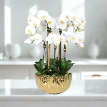 Load image into Gallery viewer, Faux Orchid Centerpiece Arrangement - 24" Vivian Rose Shop
