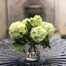 Load image into Gallery viewer, green flower arrangement snowball hydrangea flower arrangement