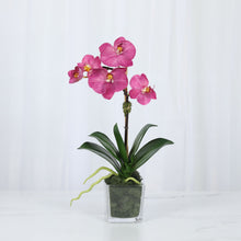Load image into Gallery viewer, Mini Orchid Arrangement in Square Glass Vase Vivian Rose Shop