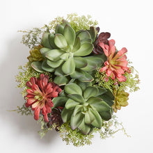 Load image into Gallery viewer, Mixed succulent arrangement