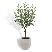 Load image into Gallery viewer, Artificial Olive Topiary Tree with Mediterranean Pot CG Hunter