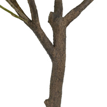 Load image into Gallery viewer, 6.5' Faux Potted Olive Tree CG Hunter