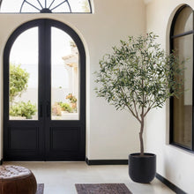 Load image into Gallery viewer, 6.5' Faux Potted Olive Tree CG Hunter