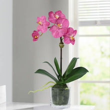 Load image into Gallery viewer, Faux Orchid Plant in Glass Vase Vivian Rose Shop