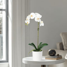 Load image into Gallery viewer, Artificial Orchid Plant in Vase - 20" Vivian Rose Shop