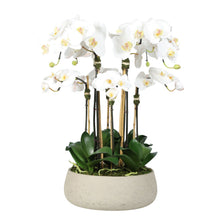 Load image into Gallery viewer, Artificial orchid centerpiece arrangement in beige planter - 28" Vivian Rose Shop