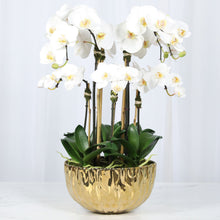 Load image into Gallery viewer, Faux Orchid Centerpiece Arrangement - 24" Vivian Rose Shop