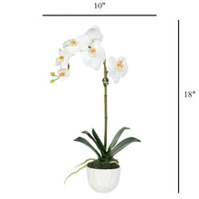 Load image into Gallery viewer, Artificial orchid plant in white decorative vase, 18 inch tall
