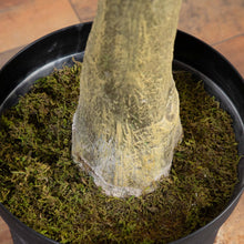 Load image into Gallery viewer, Potted Tall Artificial Tree