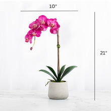 Load image into Gallery viewer, Pink Orchid Plant Artificial Orchid Plant