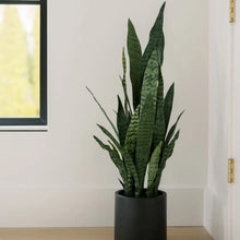 Load image into Gallery viewer, 40" Artificial Snake Plant in Black Pot