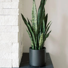 Load image into Gallery viewer, 40" Artificial Snake Plant in Black Pot