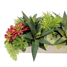 Load image into Gallery viewer, Rectangular Artificial Succulent Arrangement, Natural Planter CG Hunter