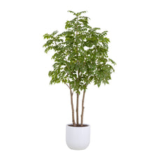 Load image into Gallery viewer, 7' Faux Potted Sumac Tree CG Hunter